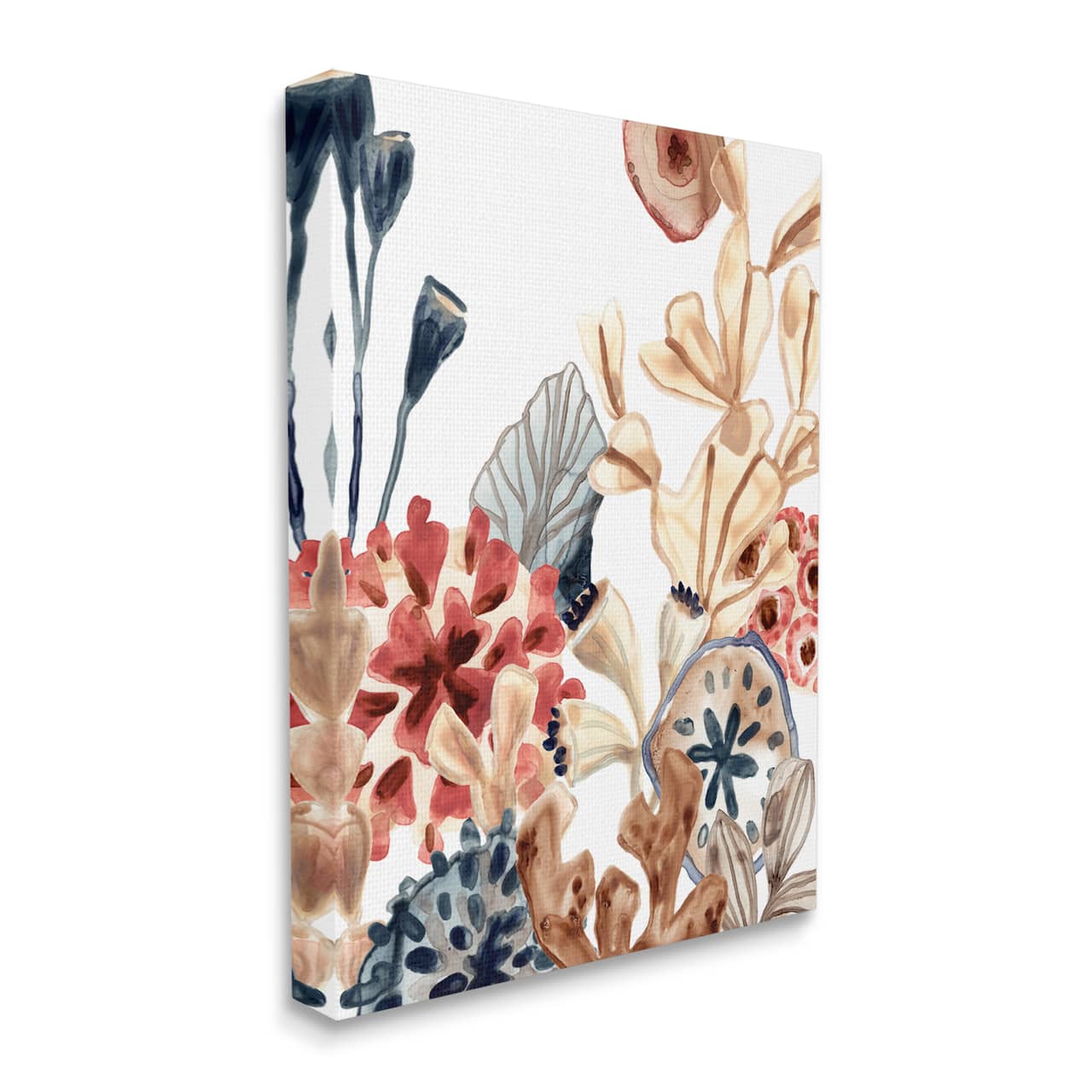 Stupell Industries Aquatic Plant Life Assortment Coral Kelp Sand Dollars Canvas Wall Art